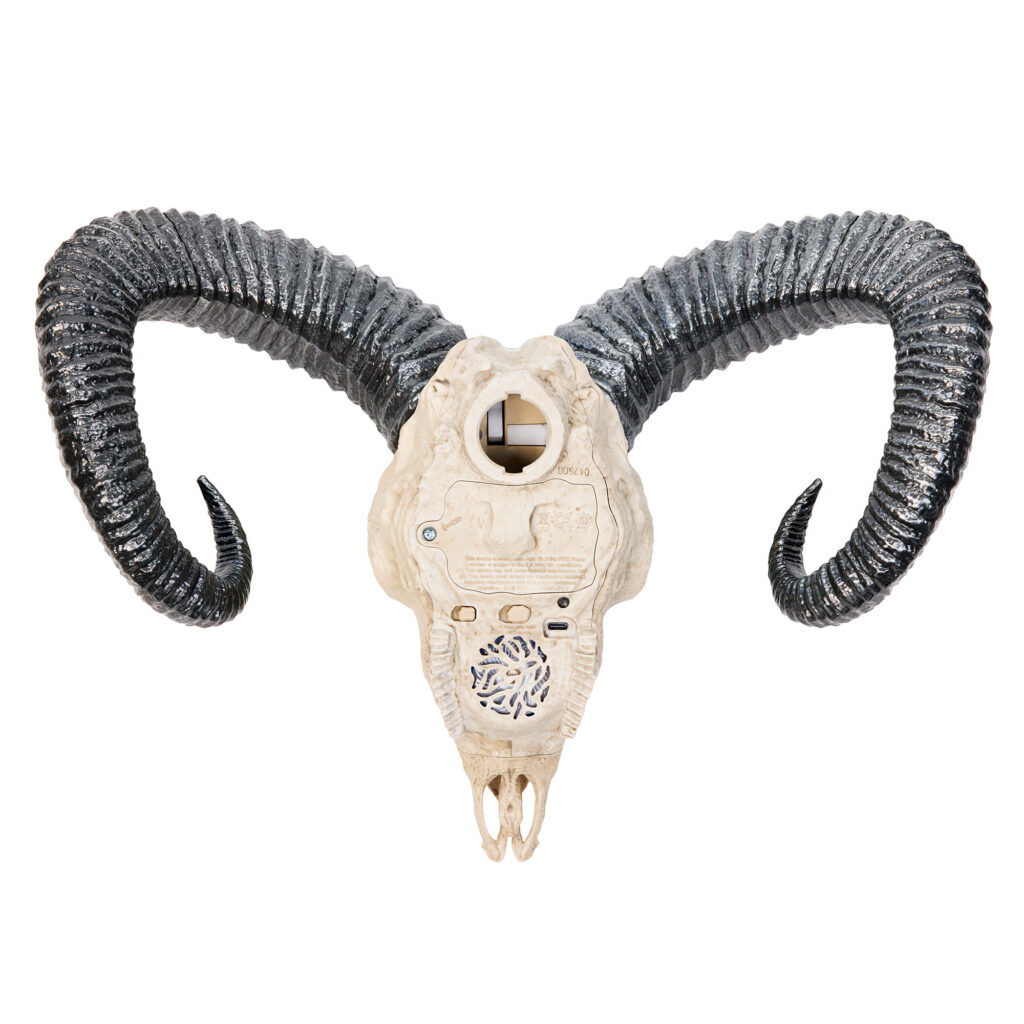 MOTU FirstOnes PDP JMG61 W 26