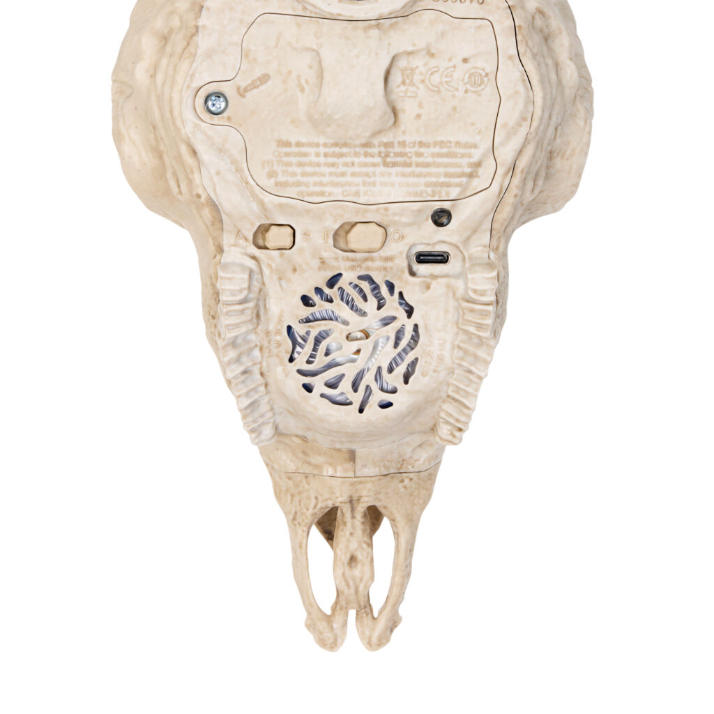 MOTU FirstOnes PDP JMG61 W 26