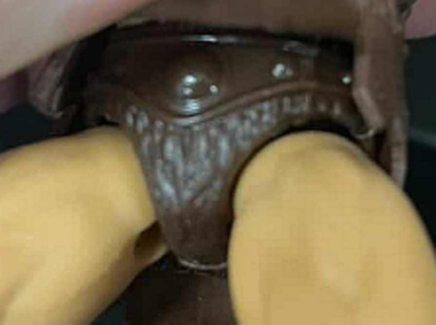 IMG 20260502