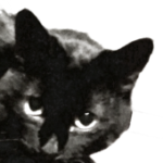 kewnst
