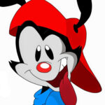 Wakko